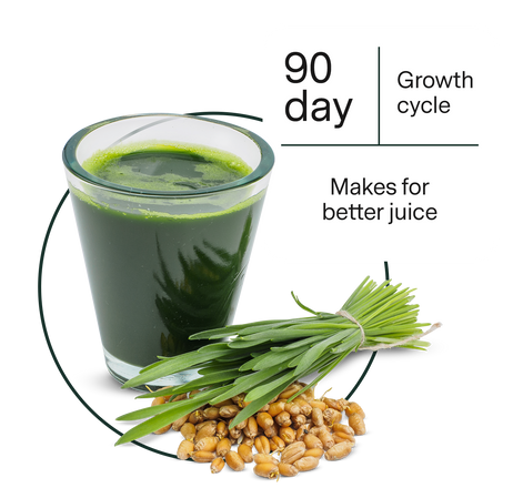 90 day growth cycle makes for better juice